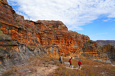 Eroded sandstone rock formations at Isalo National Park, Fianarantsoa province, Ihorombe Region, Southern Madagascar, Africa