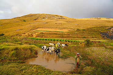 Landscape on the RN7 close to Ambalavao, Fianarantsoa province, Ihorombe Region, Southern Madagascar, Africa