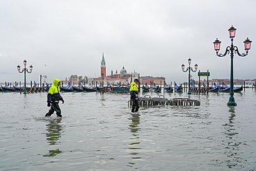 St. Mark's Square during the high tide in Venice, November 2019, Venice, UNESCO World Heritage Site, Veneto, Italy, Europe