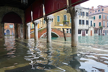 Rialto fish market during the high tide in Venice, November 2019, Venice, UNESCO World Heritage Site, Veneto, Italy, Europe