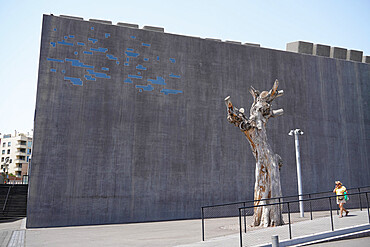 The Tenerife Arts Space, Santa Cruz de Tenerife, Tenerife, Canary Islands, Spain, Europe