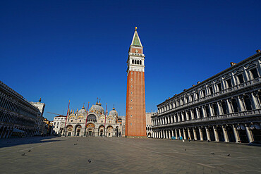 San Marco Square and Basilica during Coronavirus lockdown, Venice, UNESCO World Heritage Site, Veneto, Italy, Europe