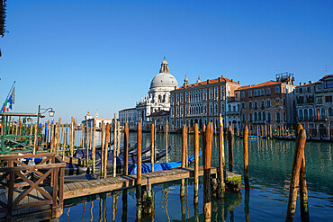 Grand Canal and Salute church during Coronavirus lockdown, Venice, UNESCO World Heritage Site, Veneto, Italy, Europe