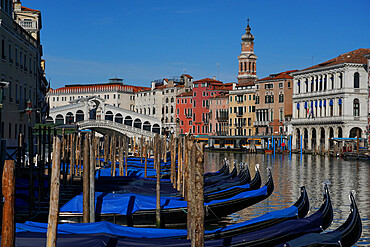 Gondolas on the Grand Canal and Rialto Bridge during Coronavirus lockdown, Venice, UNESCO World Heritage Site, Veneto, Italy, Europe