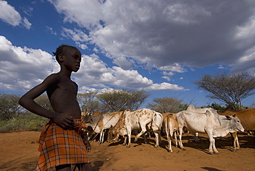 Hamer boy attending at bull jumping ceremony near Turmi, Omo region, Ethiopia, Africa