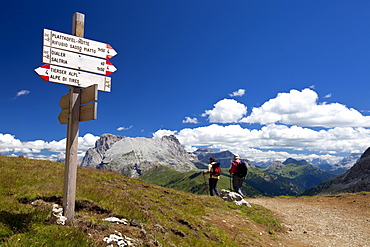 View from Tierser Alpl refuge of Langkofel and Plattkofel, Dolomites, eastern Alps, South Tyrol, Bolzano province, Italy, Europe