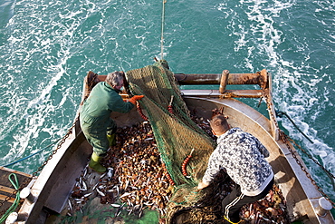 Trawler in the north Adriatic Sea, Chioggia, Venice province, Veneto, Italy, Europe