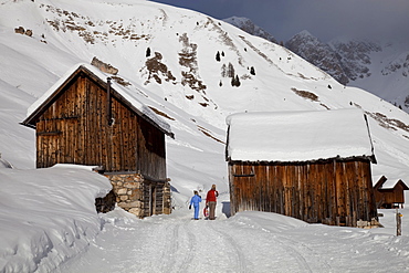 Winter walk on snowy path through wooden barns around San Pellegrino Pass, Dolomites, Alps, Trentino Alto Adige, Italy, Europe