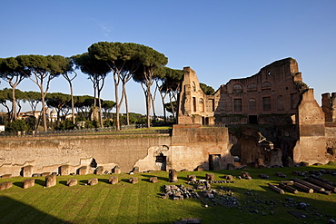 Imperial palace at Forum Romanum, Palatine Hill, Rome, Lazio, Italy, Europe