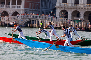 Regata Storica 2012, Venice, UNESCO World Heritage Site, Veneto, Italy, Europe