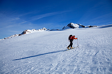 Ski touring in the Alps, ascent to Punta San Matteo, on the border of Lombardia and Trentino-Alto Adige, Italy, Europe