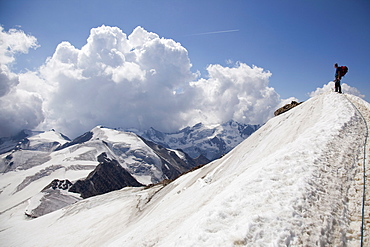 Reaching the summit of Mount Cevedale, 3769 m, Ortler Alps, South Tyrol, Italy, Europe