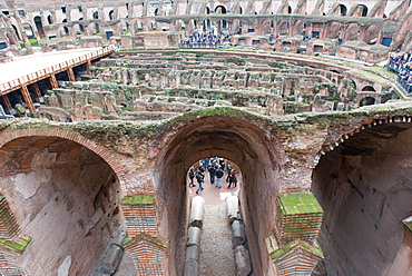 The Colosseum, UNESCO World Heritage Site, Rome, Lazio, Italy, Europe