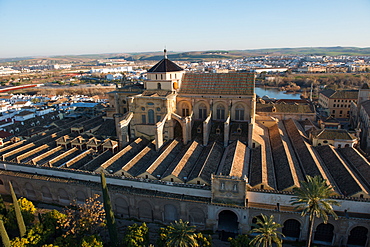 Patio de los Naranjos and the Mezquita Cathedral seen from its bell tower, UNESCO World Heritage Site, Cordoba, Andalucia, Spain, Europe