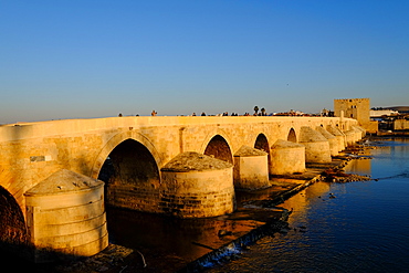 Calahorra Tower and the Roman bridge (Puente Romano) over the Rio Guadalquivir, UNESCO World Heritage Site, Cordoba, Andalucia, Spain, Europe