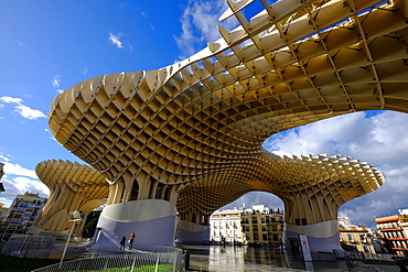 Metropol Parasol, known as Setas de Sevilla (The Mushroom), the world's largest wooden structure, Seville, Andalucia, Spain, Europe