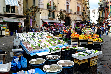 Pignasecca fish market, Naples, Campania, Italy, Europe