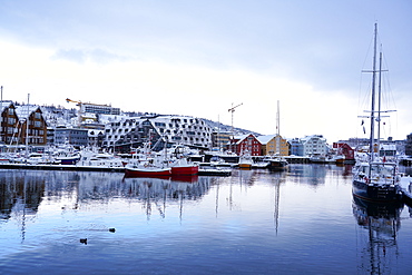 Tromso Harbour, Tromso, Troms County, Norway, Scandinavia, Europe