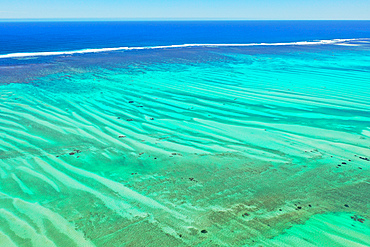 Coral reef near Salary, South Western coast of Madagascar, Indian Ocean, Africa