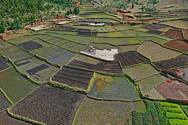 Vegetable cultivation and brick making on the rice fields, National Route RN7 between Antsirabe and Antananarivo, Madagascar, Africa