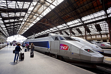 Passengers and TGV high-speed train, Gare de Lyon, Paris, France, Europe