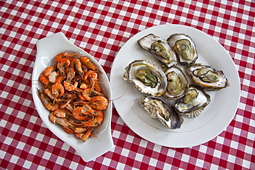 Close up of shrimps and oysters on check tablecloth, Boracay, Aklan, Philippines, Southeast Asia, Asia