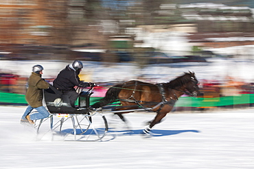 Sleigh race, Quebec Winter Carnival, Quebec City, Quebec, Canada, North America