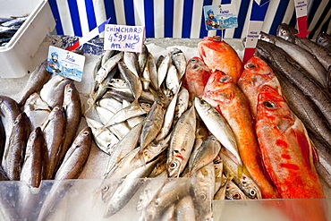 Seafood for sale at market, Place Monge, Paris, France, Europe