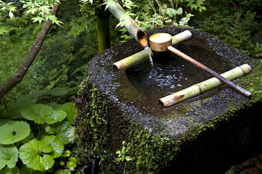 A tsukubai (stone water basin) with bamboo ladle in a garden at Sanzenin Temple in Ohara, Kyoto, Japan, Asia