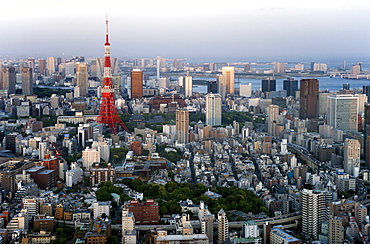 Aerial view of metropolitan Tokyo and Tokyo Tower from atop the Mori Tower at Roppongi Hills, Tokyo, Japan. Asia