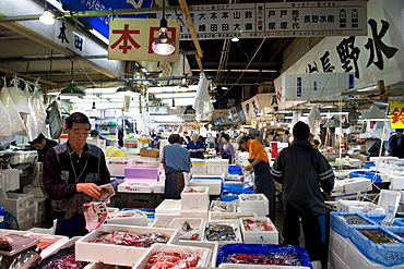 Interior view of sales stalls at Tsukiji Wholesale Fish Market, the world's largest fish market in Tokyo, Japan, Asia