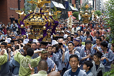 A mikoshi (portable shrine) being carried through the streets during the Sanja Festival in Asakusa, Tokyo, Japan, Asia