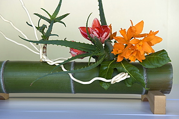 Japanese flower arranging (ikebana) also called the way of flowers (kado), Japan