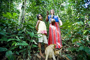 An Achuar man demonstrates using a blowgun, Amazon, Ecuador, South America