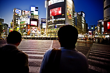 Hachiko crossing, Shibuya, Tokyo, Japan, Asia