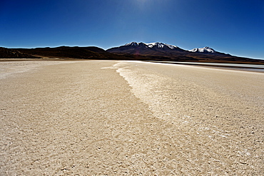 At the edge of a salt lake high in the Bolivian Andes, Bolivia, South America 