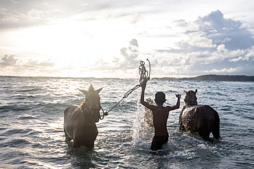 Two young boys and their horses play in the ocean in Nihiwatu, Sumba, Indonesia, Southeast Asia, Asia