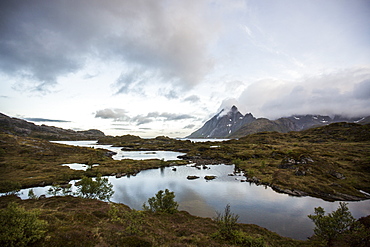 Landscape taken with the midnight sun in Moskenesoy, Lofoten Islands, Norway, Scandinavia, Europe