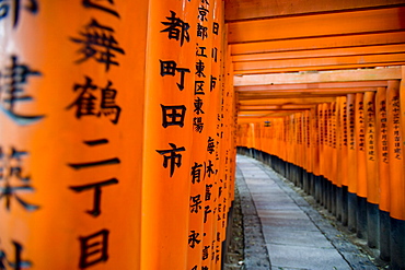 Fushimi Inari shrine, Tokyo, Japan, Asia