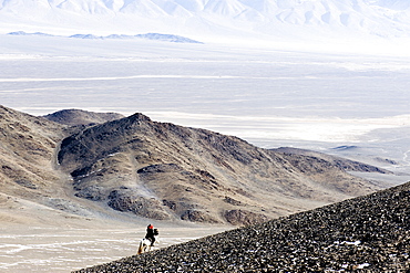 An eagle hunter out on a morning hunt in the Altai Mountains, Bayan Olgii, Mongolia, Asia