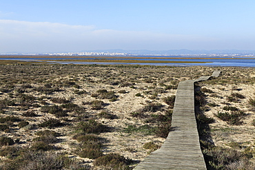 A boardwalk runs over dunes of Ilha Deserta (Barreta), an island in the Ria Formosa National Park, Algarve, Portugal, Europe