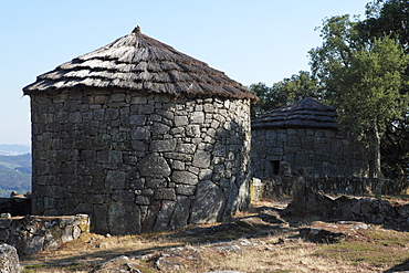 Reconstructed round houses in the Celtic hill settlement dating to the Iron Age at Citania de Briteiros, Minho, Portugal, Europe