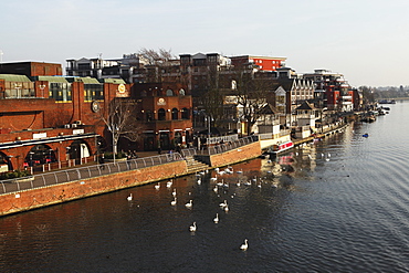 Riverside pubs and bars during late afternoon by the River Thames at Kingston-upon-Thames, a suburb of London, England, United Kingdom, Europe