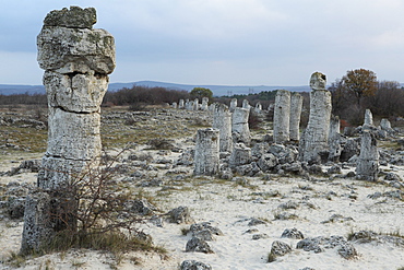 Rock formation at the 50 million year old Stone Forest (Pobiti Kamani), protected national monument, in Varna Province, Bulgaria, Europe