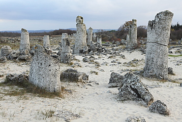 Rock formation at the 50 million year old Stone Forest (Pobiti Kamani), protected national monument, in Varna Province, Bulgaria, Europe