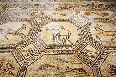 Early Christian mosaic floor dating from the 4th century, the Basilica of Santa Maria Assunta, Aquileia, Friuli-Venezia Giulia, Italy, Europe