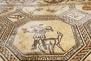 Early Christian mosaic floor dating from the 4th century, the Basilica of Santa Maria Assunta, Aquileia, Friuli-Venezia Giulia, Italy, Europe