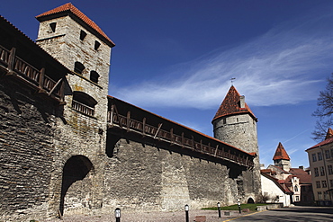 Medieval towers and city walls in the Old Town of Tallinn, UNESCO World Heritage Site, Estonia, Europe