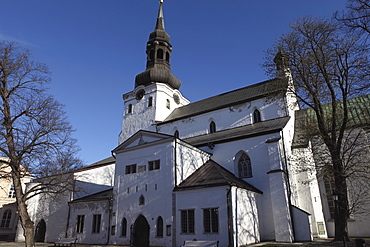 The 13th-century Dome Church (The Cathedral of Saint Mary the Virgin), in Toompea, the upper town, Tallinn, Estonia, Europe