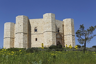 Castel del Monte, octagonal castle, built for Emperor Frederick II in the 1240s, UNESCO World Heritage Site, Apulia, Italy, Europe